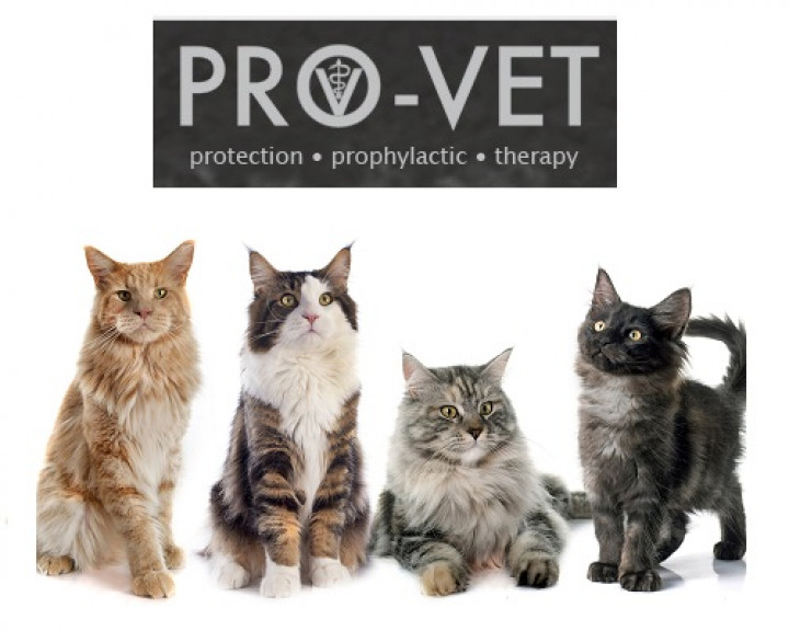 PRO-VET VETERINARY CAT STRUVITE 3KG